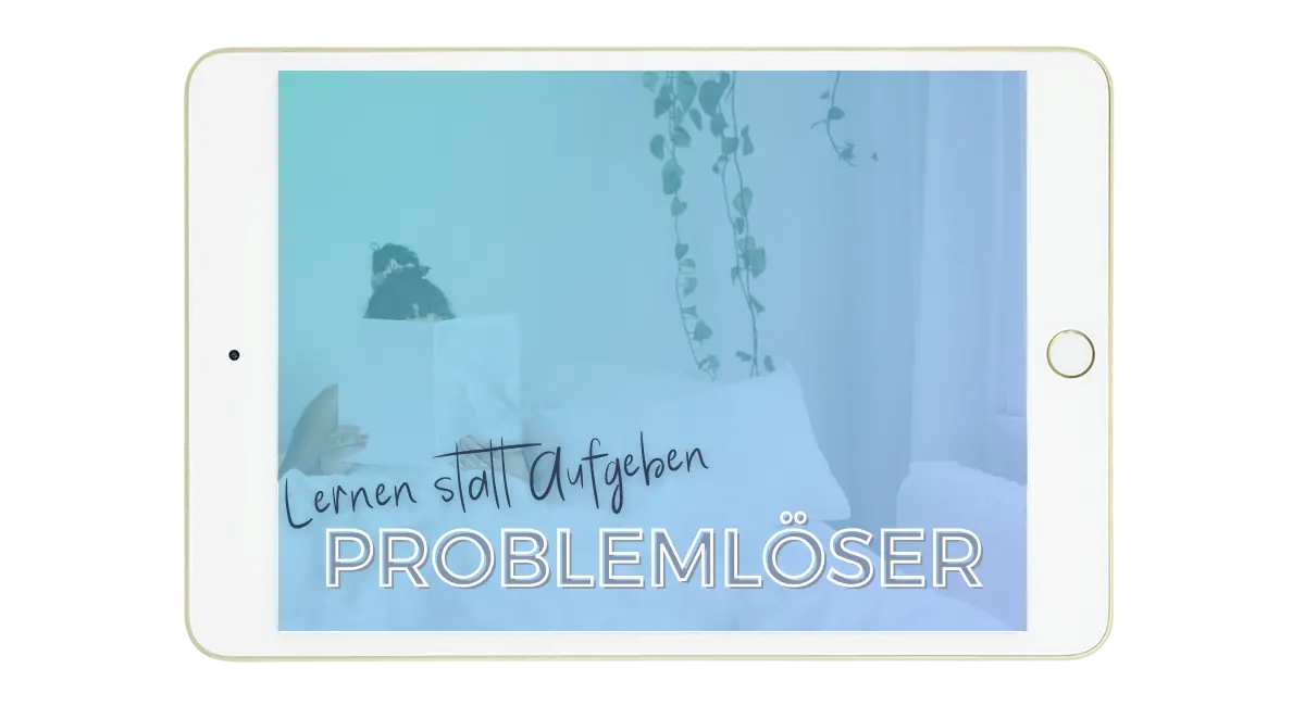EE Kurs Mockups Problemlöser