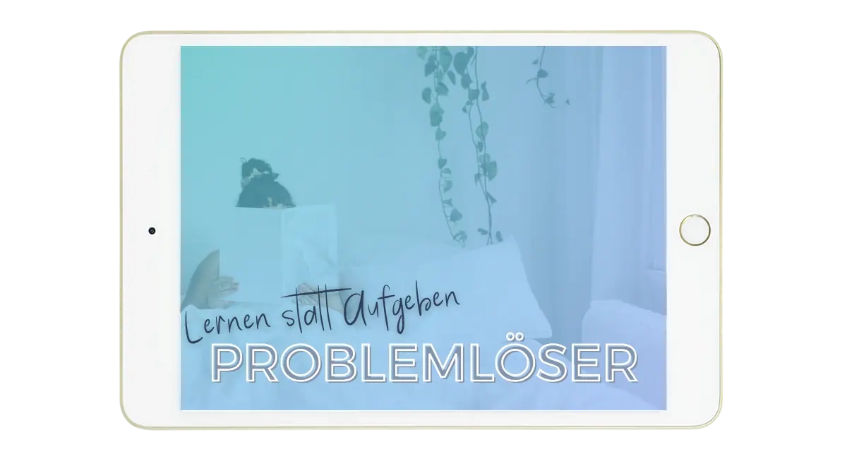 EE Kurs Mockups Problemlöser